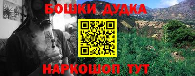 шишки Бузулук