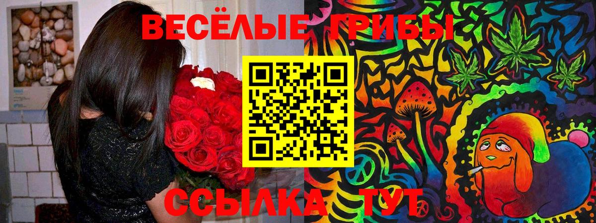 Сафоново  Псилоцибиновые грибы мухоморы  Галлюциногенные грибы мицелий  Вход с VPN 