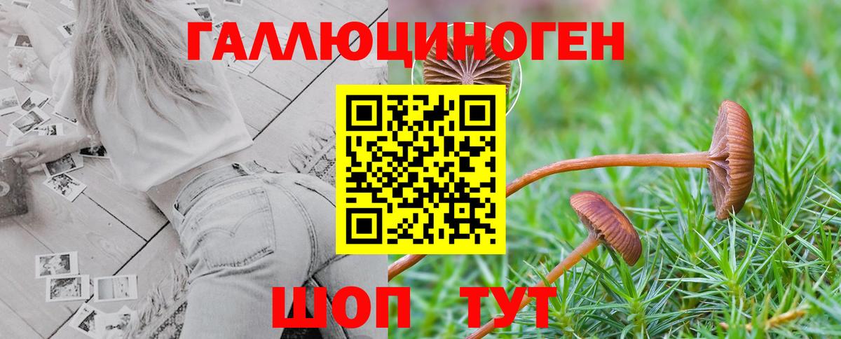 Галлюциногенные грибы MAGIC MUSHROOMS Сафоново